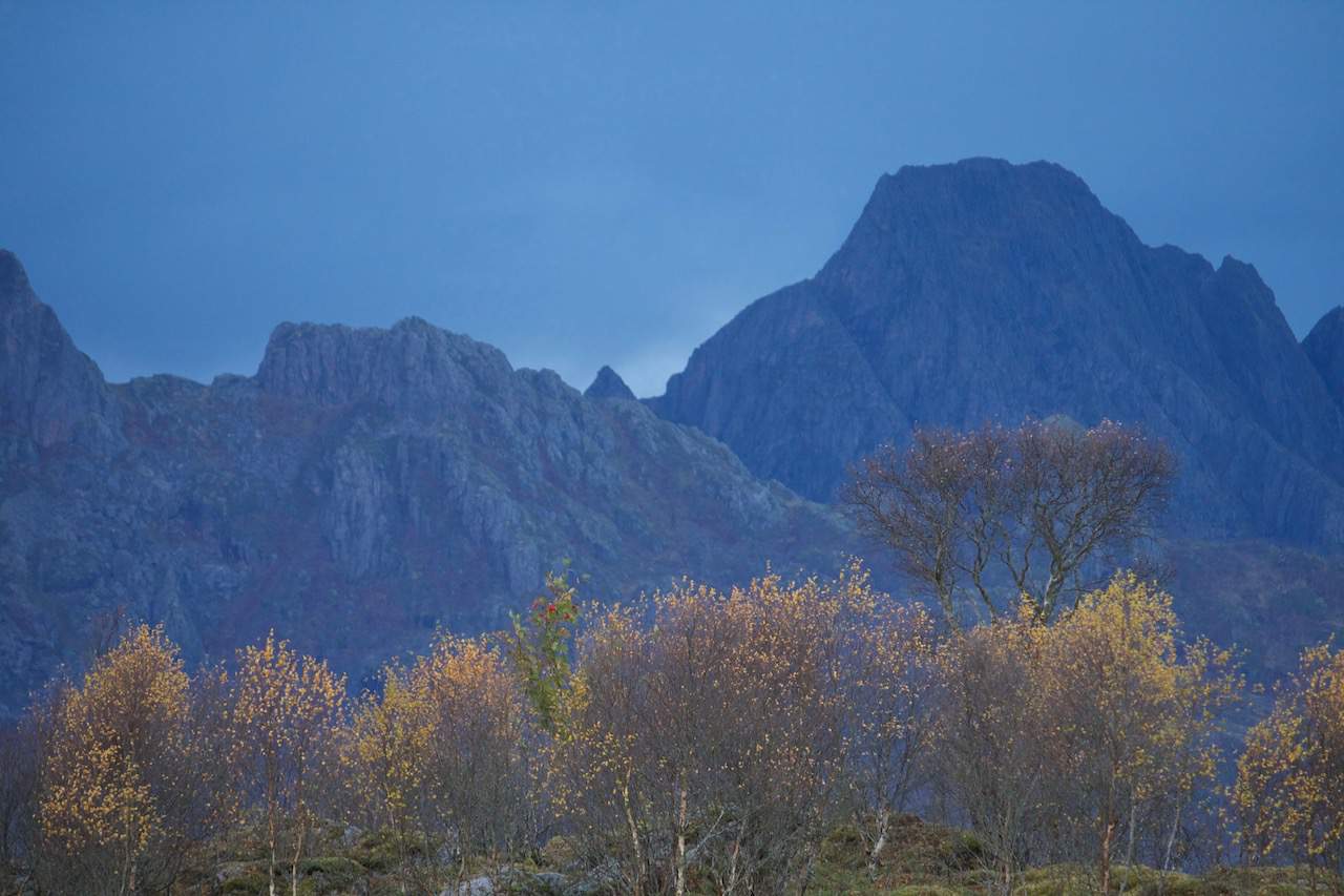 Autumn colours in Northern Norway