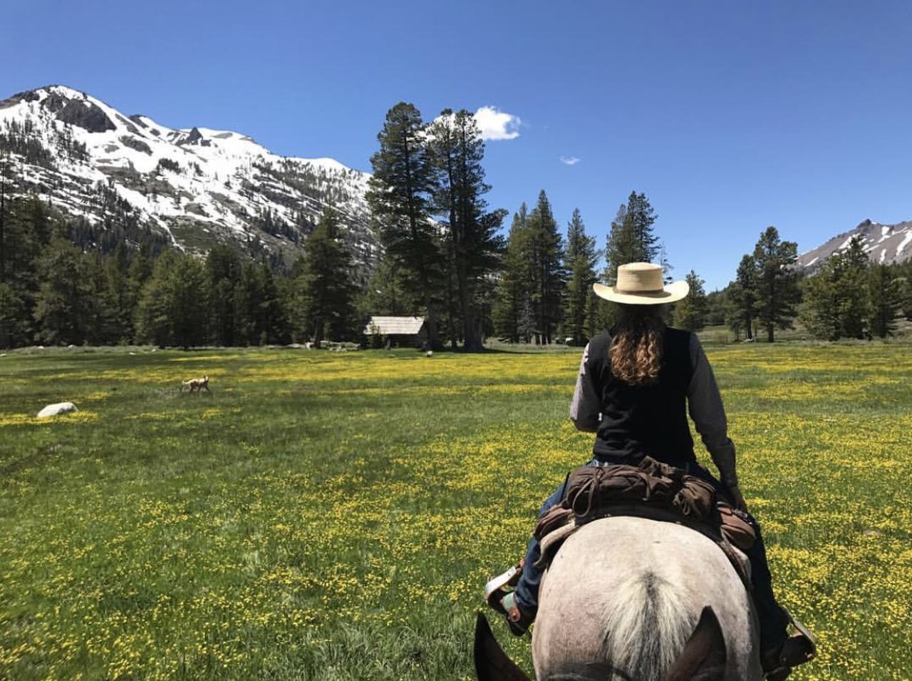 Kennedy Meadows horseback riding