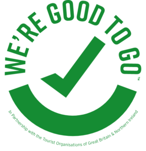 Good to go logo