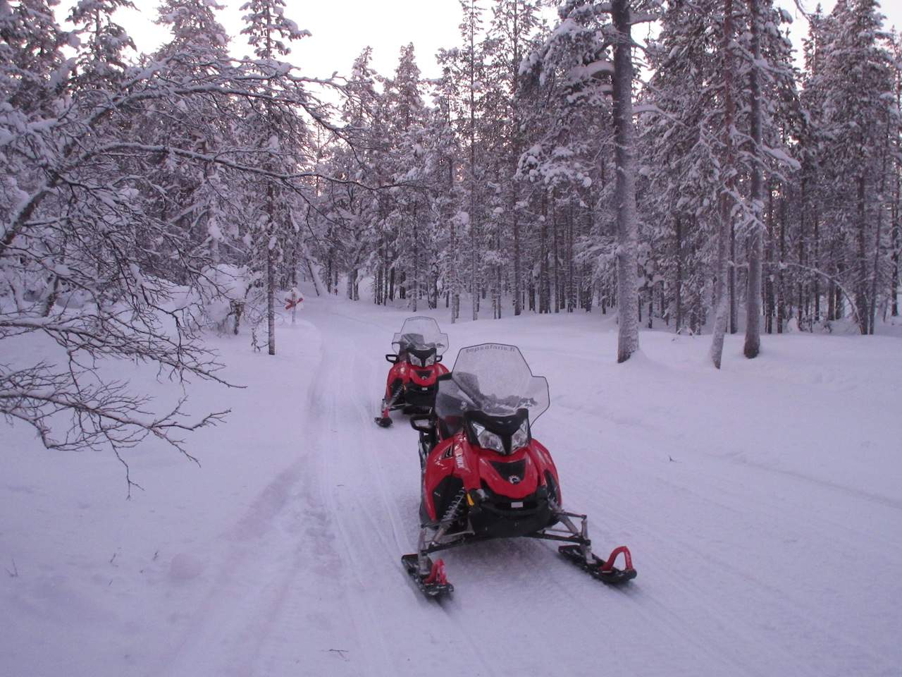 Snowmobiling in Lapland