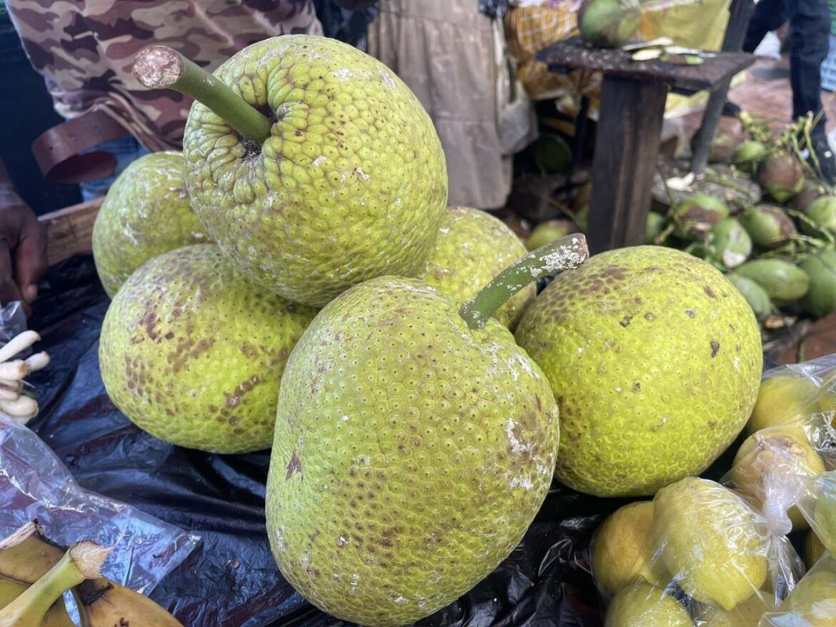 Breadfruit at Castries