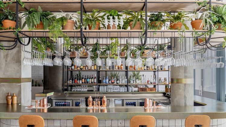 Date-in-Club-Chinois-Mayfair-London — Nightlife Immersion