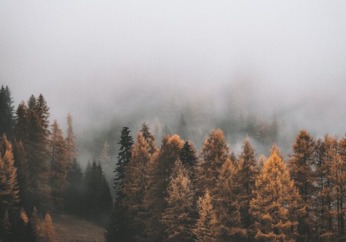 Luxurious Autumnal Getaways - A Global Travel Odyssey